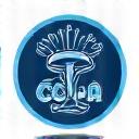 Logo CCPA Compliance